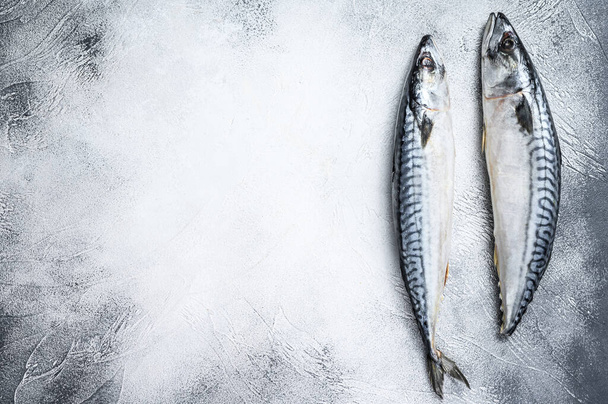 Raw fish Mackerel on a kitchen table. White background. Top view. Copy space - 写真・画像