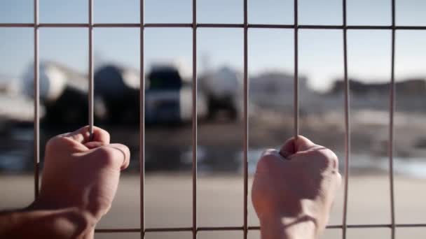 Mens ręce wstrząsnąć klatkę na ulicy oddzielając więzienie i wolność. - Materiał filmowy, wideo