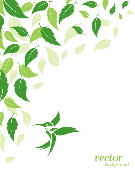 Abstract green leaves and hummingbirds background  - Vector, Image