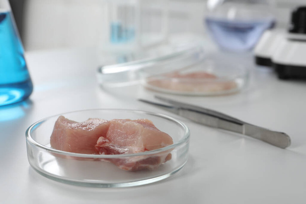 Placa de Petri com pedaços de carne crua cultivada na mesa branca em laboratório, espaço para texto - Foto, Imagem