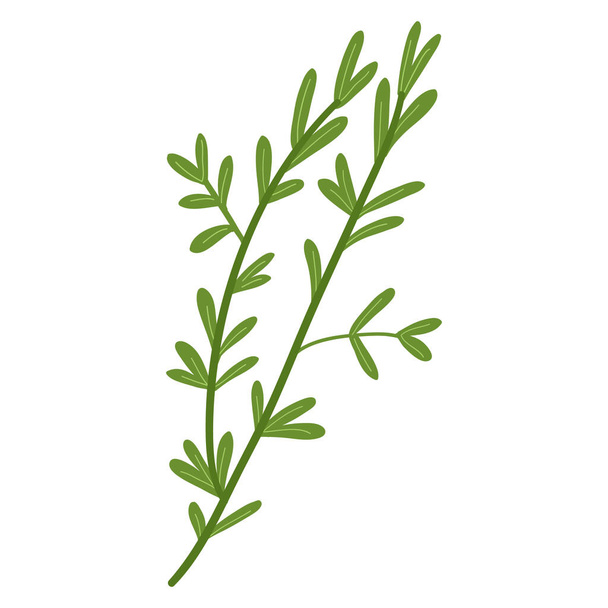 Vector designer elements of green twig - Вектор, зображення