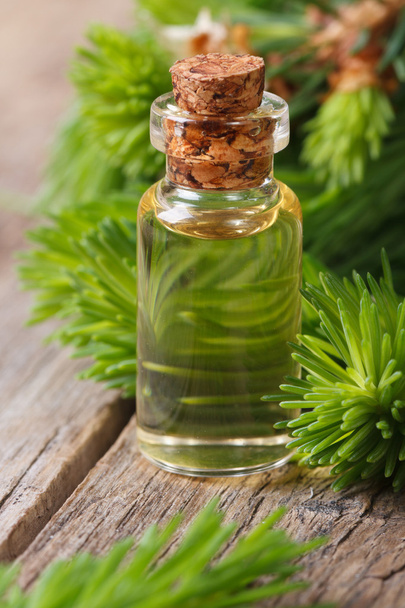 Essential aromatic oil spruce closeup vertical - Photo, Image