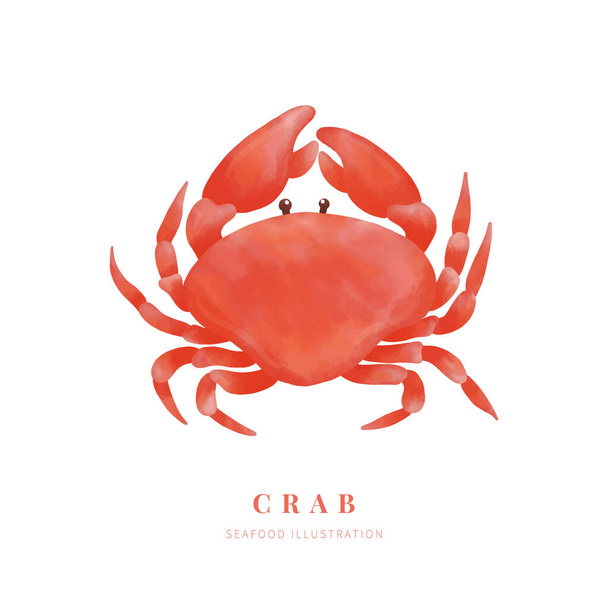 Watercolor crab on white background. Digital paint. Vector illustration. - Vector, Image