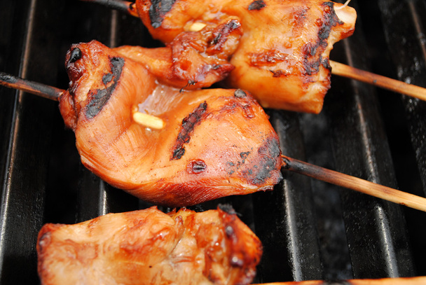 Chicken on a Stick Close-Up - Photo, Image