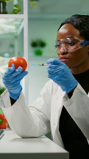 Tıbbi eldivenli Afrikalı biyokimyacı organik domatese böcek ilacı enjekte ediyor. - Fotoğraf, Görsel