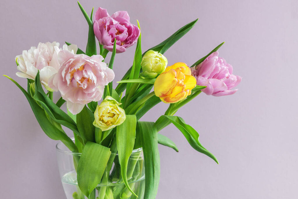 Un ramo de hermosos tulipanes sobre un fondo lila . - Foto, Imagen