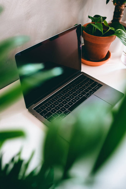 Černá obrazovka notebook pracovní stanice doma nebo v kanceláři se zelenými tropickými rostlinami na bílém stole a šedé betonové zdi - Fotografie, Obrázek