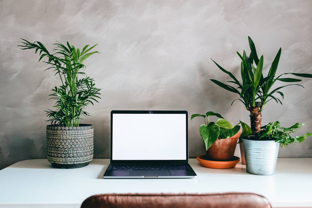 Pracovní stanice s notebookem s prázdnou obrazovkou doma nebo v kanceláři se zelenými tropickými rostlinami na bílém stole a šedou betonovou stěnou - Fotografie, Obrázek