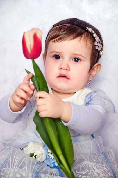 Cute Baby girl w niebieskiej sukience trzymając tulipan. Kartka świąteczna dla matek lub ojców. Portret pięknej dziewczynki z kwiatem. 1 letnia dziewczynka. - Zdjęcie, obraz