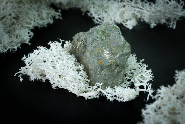 Arsenopyriini Kiinasta tai Indonesiasta. Luonnon mineraalikivi mustalla pohjalla sammalen ympäröimänä. Mineralogia, geologia, taika, puolijalokivet ja mineraalinäytteet. Lähikuva makro kuva - Valokuva, kuva
