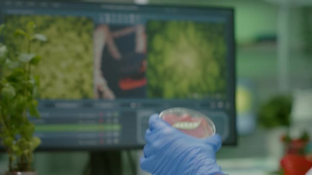 Primo piano della scienziata che tiene in mano il piatto di Petri con carne di manzo vegana - Filmati, video