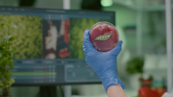 Primer plano del químico sosteniendo en las manos carne de vacuno vegana muestra - Imágenes, Vídeo