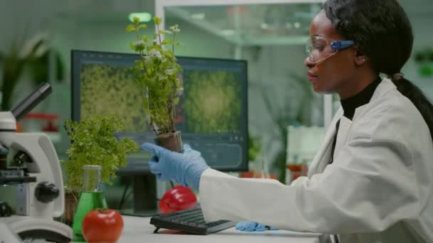 vrouwelijk onderzoeker kijkt naar groene boompjes in vergelijking met tomaten - Video