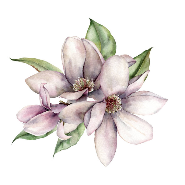 Watercolor floral bouquet of magnolias, leaves and buds. Hand painted flowers isolated on white background. Holiday spring illustration for design, print, fabric or background. - Zdjęcie, obraz