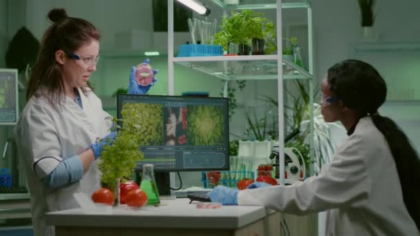 Ärzteteam diskutiert über Petrischale mit veganem Fleisch - Filmmaterial, Video