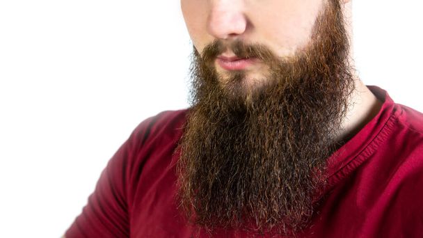 Homem adulto jovem com barba longa e bigode close-up isolado no fundo branco - Foto, Imagem