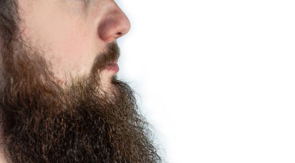 Joven hombre adulto con barba larga y bigote primer plano aislado sobre fondo blanco - Foto, imagen
