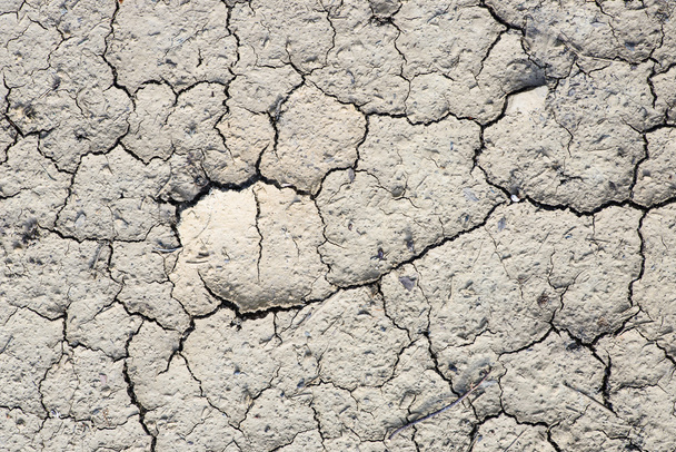 Tierra seca agrietada sin agua - Foto, Imagen