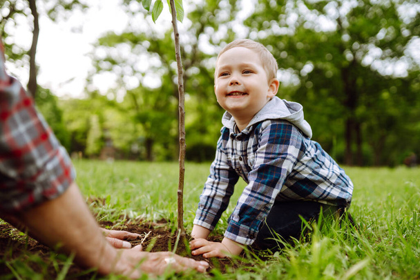 Ojciec i mały chłopiec sadzą młode drzewo pracując razem w ogrodzie. Sadzenie drzewa genealogicznego. Wiosenna koncepcja, ratuj przyrodę i troskę. - Zdjęcie, obraz