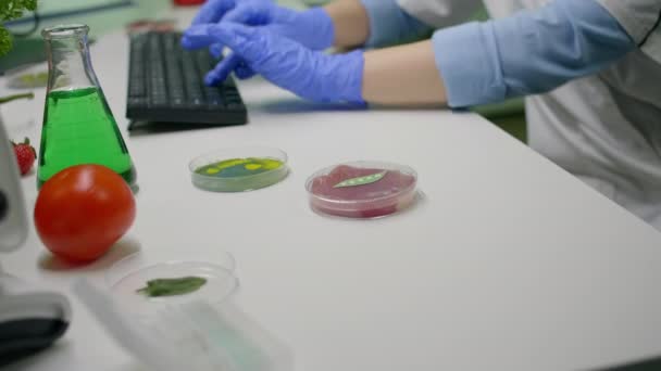 Biologist researcher looking at plant based beef substitute for vegetarien people - Footage, Video