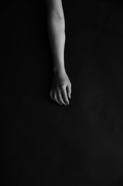 women's hands close-up, black and white photo of body details, elegant and sensual fingers - 写真・画像