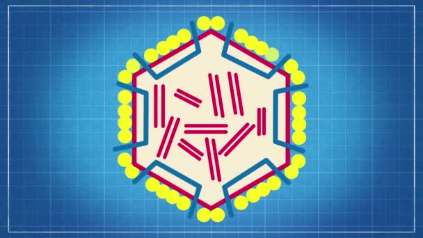 Virusclassificatie - virussen benoemen en in een taxonomische systeemanimatie op blauwdruk-achtergrond plaatsen - Video