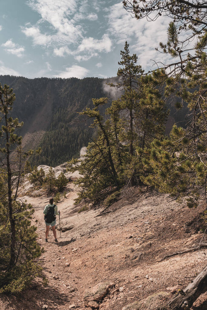 Hiker Takes In Views of Yellowstone Volcanic Features on summer hike - Photo, Image