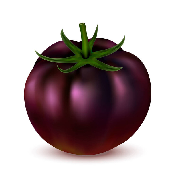 Tomate preto isolado sobre fundo branco. 3d realista tomate fresco inteiro. Vista lateral. Ilustração vetorial EPS 10 - Vetor, Imagem