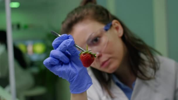 zbliżenie biolog kobieta biorąc truskawka z pęseta - Materiał filmowy, wideo