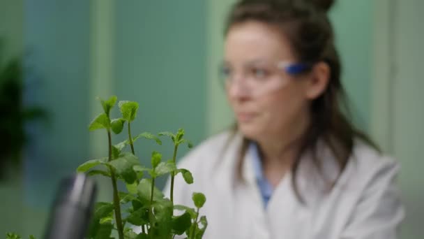 Primo piano della botanica donna controllo alberello per esperimento di agricoltura - Filmati, video