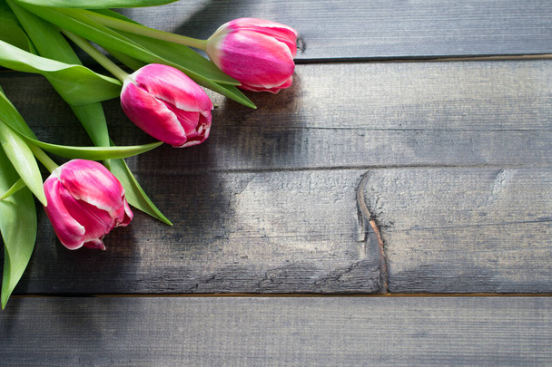pink tulips on wooden background - Photo, Image