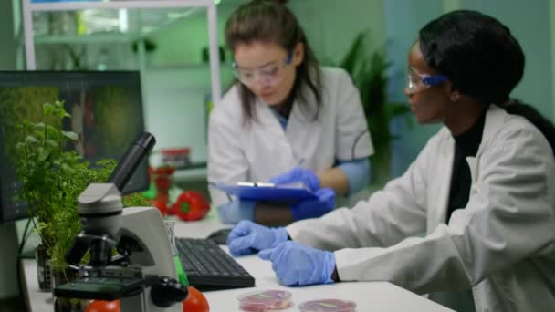 Investigadores del equipo médico analizan la experiencia en botánica en computadoras - Metraje, vídeo
