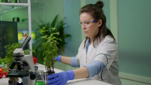 Botanist onderzoeker meten boompjes voor botanische experimenten - Video