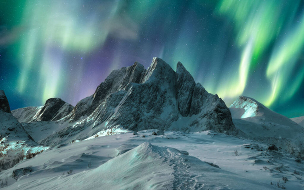 Aurora borealis nad majestatyczną górą w śniegu na wyspie Segla, Norwegia - Zdjęcie, obraz