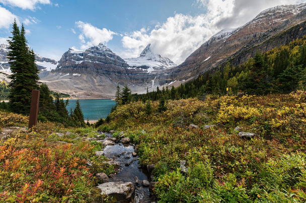 Scenery of Mount Assiniboine with Lake Magog in autumn forest at provincial park, Alberta, Canada - Photo, Image
