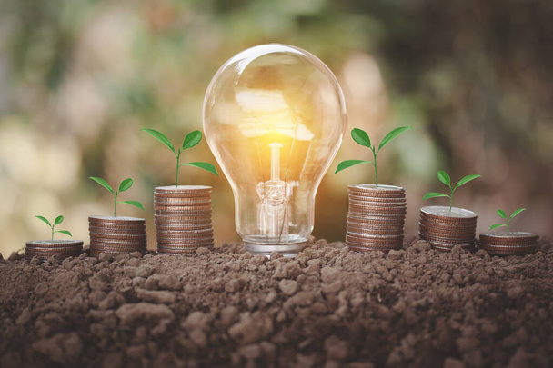 Energy saving light bulb in the midle of coin stacks with tree on top on soil to show step of saving energy saving money isolated on natural background. - Photo, Image