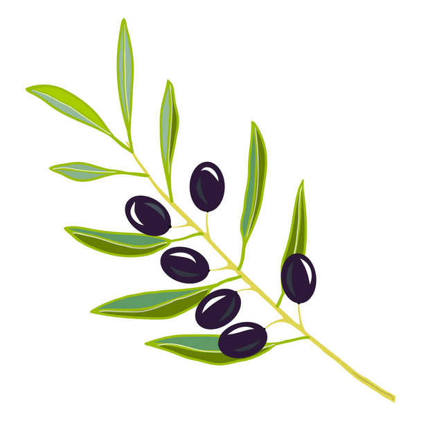Black olive branch icon. Creative illustration. Colorful sketch. Idea for decors, logo, patterns, papers, covers, gifts, summer and autumn holidays, floral natural themes. Isolated vector art. - Vector, Image