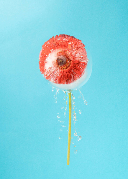 Kreative Komposition mit gefrorenen roten Blüten und plätscherndem Wasser vor pastellblauem Hintergrund. Modernes Frühjahrs- oder Naturkonzept. - Foto, Bild