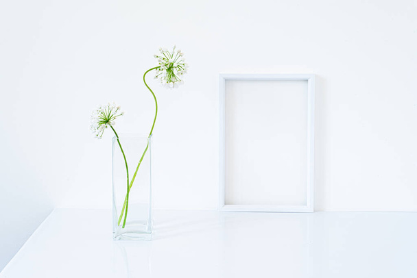 Blank white frame mockup. Small fresh flowers of white garlic (allium neapolitanum) in glass vase on glossy white table. White background, minimal and elegant space - Photo, Image