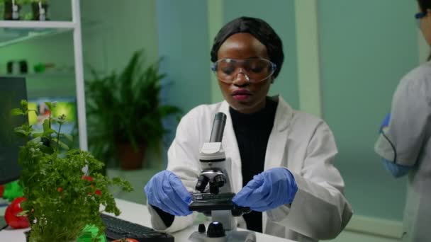 Kobieta botanik patrząca na próbkę testową pod mikroskopem obserwująca mutację genetyczną - Materiał filmowy, wideo