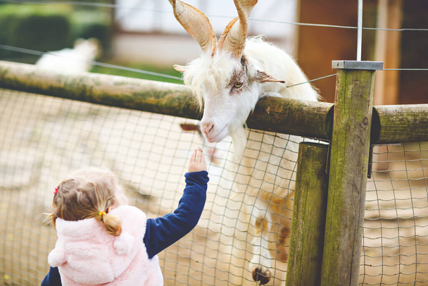 Roztomilé roztomilé batole dívka krmení malé kozy a ovce na dětské farmě. Krásné dítě mazlí zvířata v zoo. Nadšený a šťastný dívka o rodinném víkendu. - Fotografie, Obrázek