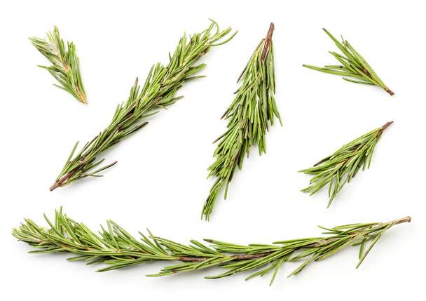 Set of fresh sprigs of rosemary close-up on a white background, isolated. Top view - Photo, image