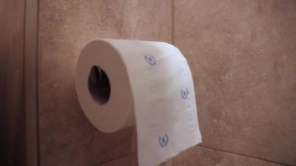 туалетная бумага висит в ванной комнате - Кадры, видео