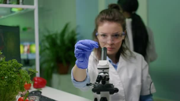 Биолог берет образец зеленого листа под микроскоп - Кадры, видео