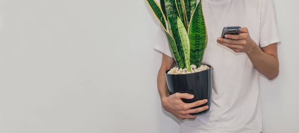 молодой человек с мобильным телефоном и растением в руках - Фото, изображение