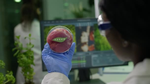 Primo piano del ricercatore biologo che tiene in mano un campione vegano di carne di manzo - Filmati, video