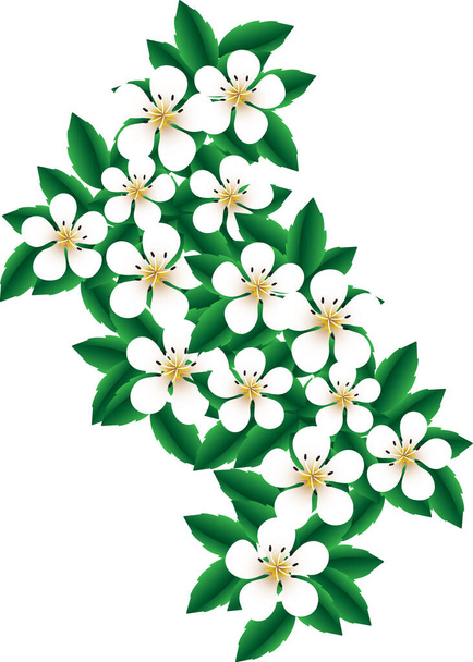 Colorful illustration of Indian Hawthorne flowers - Vektor, obrázek