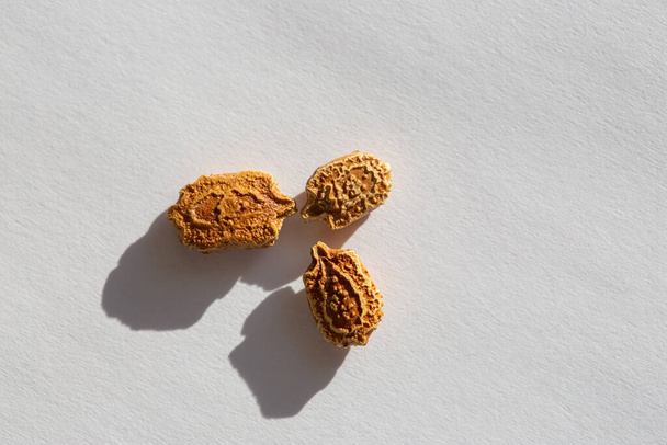 Momordica seeds on a white background with hard shadows shot in the midday sun. - Фото, зображення