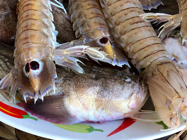 Fresh raw mantis shrimps from the fish market in Mola di Bari, Puglia - Foto, immagini