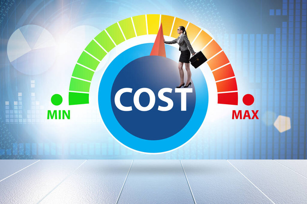 Cost management concept with businesswoman - Photo, Image